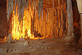 Parque-nacional-cavernas-do-peruacu3.jpg